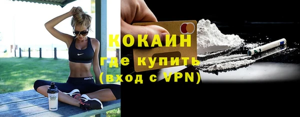 индика Арсеньев