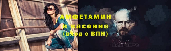 шишки Аркадак