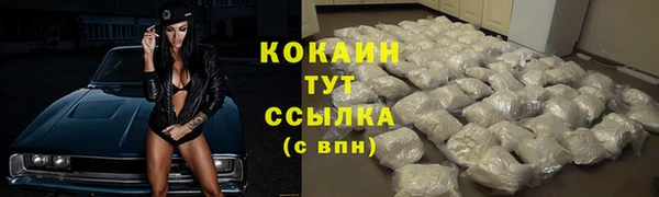 шишки Аркадак