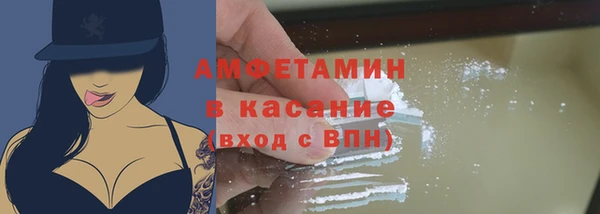 индика Арсеньев