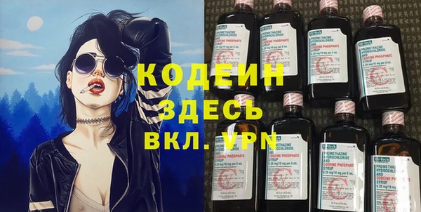 индика Арсеньев