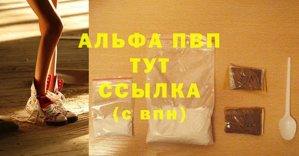 индика Арсеньев