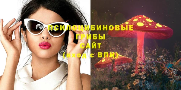 шишки Аркадак