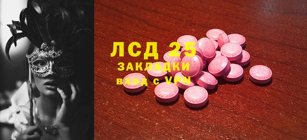индика Арсеньев