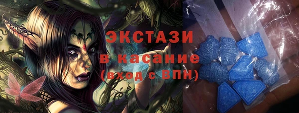 шишки Аркадак