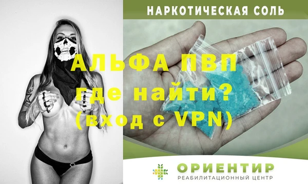 индика Арсеньев